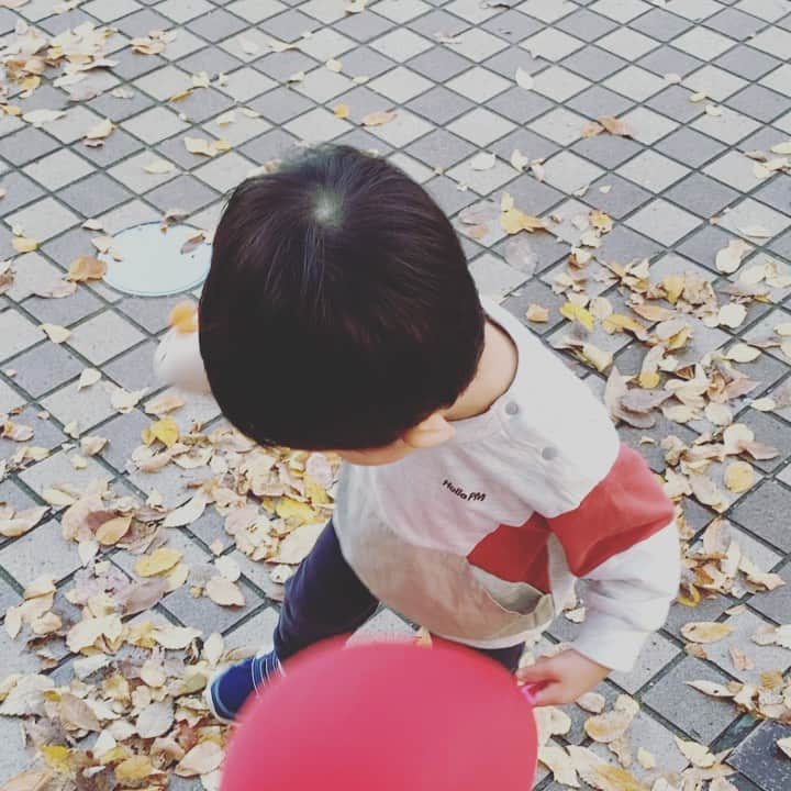 百千糸のインスタグラム：「秋の落ち葉  秋なのに暖かい。というか暑い💦」