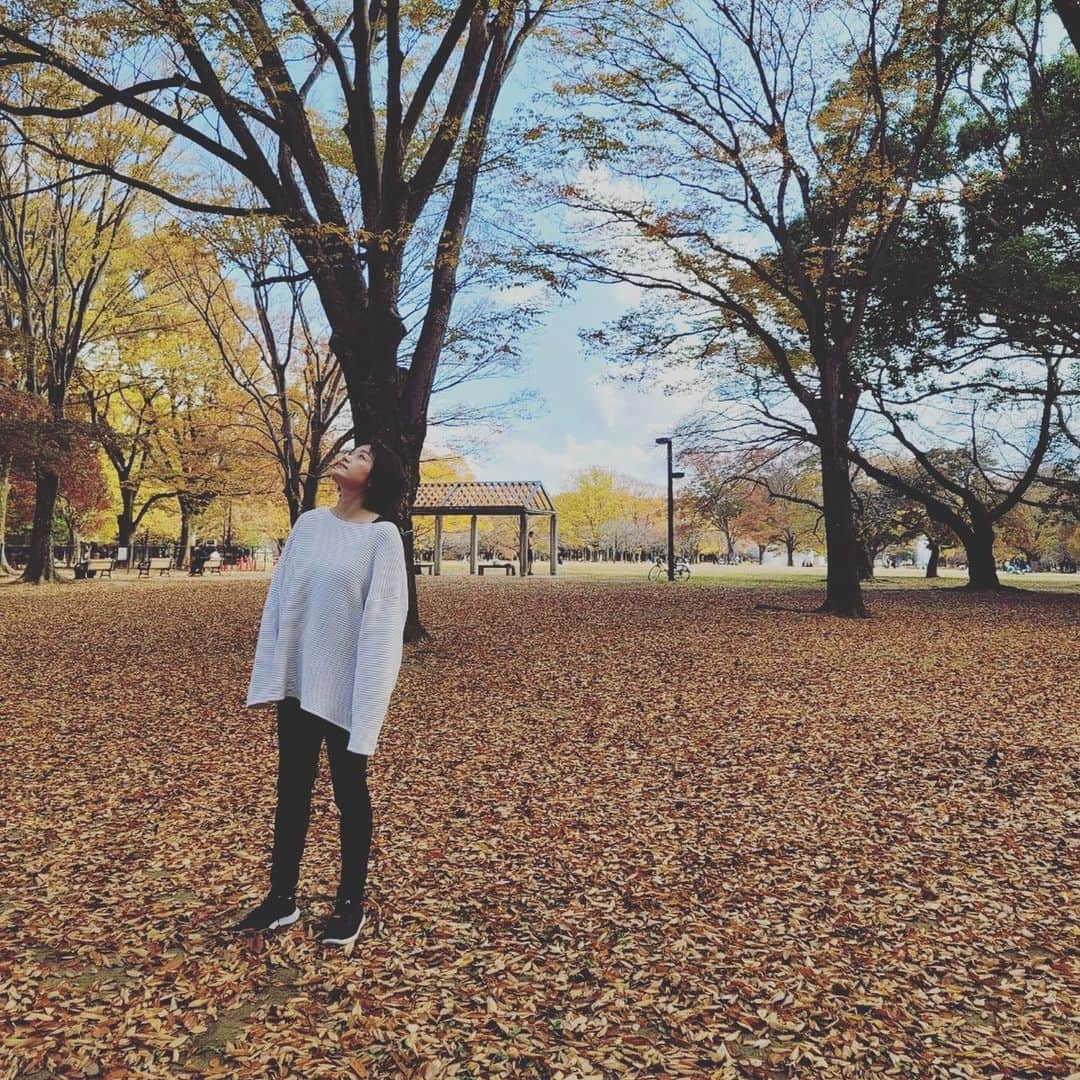 今村美乃さんのインスタグラム写真 - (今村美乃Instagram)「月に一回くらいしか一緒の日に休みがないからめっちゃ貴重！！！  人がいないところへ🍁  #旦那さんとデート  #zara #紅葉 #代々木公園」11月19日 18時23分 - imamurayoshino
