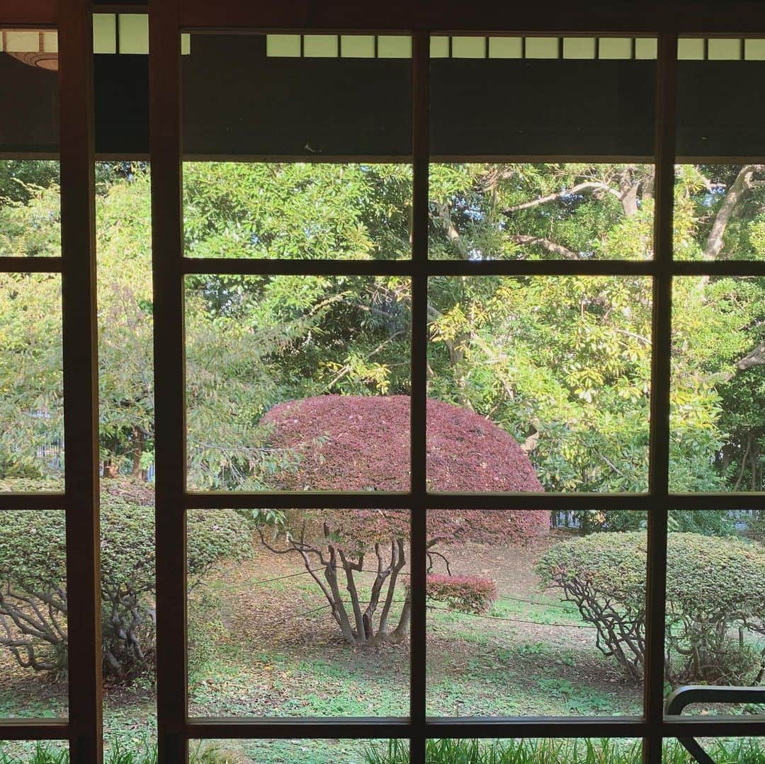 山本真由美さんのインスタグラム写真 - (山本真由美Instagram)「. . 東京タンバリン 『さとうは甘い』初日🍵 以前参加した“わのわ”お茶室演劇。 今回、落語家の柳家喬太郎師匠も役者としてご出演。黙ってそこに座ってるだけで、語られるものがある。お茶が点てられる音、鳥の声が聴こえたり落葉の瞬間が窓から見えたり。静けさの中にある音に聴き入る時間もまた良き。それぞれ抱えてる小さい綻びも全部含めて大人ビターな甘さでした🍬🍵 決して忘れていたわけではない、 泣きたいことがあったのちゃんと思い出しました😌 東京国立博物館のお茶室、この場所がまた素晴らしく。 お手入れされたお庭とレトロな歪み窓美しい。ここに向かう道すがらは、銀杏並木や色づく紅葉眺めながら秋晴れの中お散歩♪今朝、お茶のお稽古からの観劇。散りばめられた茶道の所作や利休の言葉、染み入りました。😌💦 . 千穐楽まで、無事に完走されることを祈っております！🧡 . . #東京タンバリン　#演劇　 #落語　#茶道　#わのわ #teaceremony #tea #japan #tokyo  #千利休 #東京国立博物館 #architecture #garden #nature #autumn #紅葉 #上野　 #九条館　#作演出 #高井浩子  #柳家喬太郎 #山崎美貴 #谷川清美 #森啓一朗 #ミギタ明日香 #遠藤弘章 敬称略」11月19日 18時32分 - mayumi_yamamoto.official