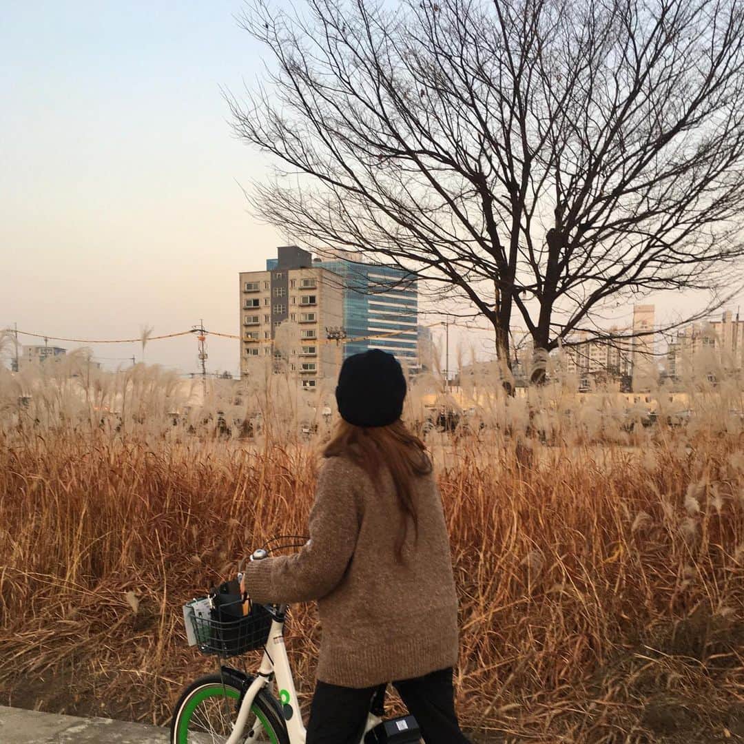 チャン・スンヨンさんのインスタグラム写真 - (チャン・スンヨンInstagram)「🌾🌾🌾」11月19日 18時33分 - seung_monkey