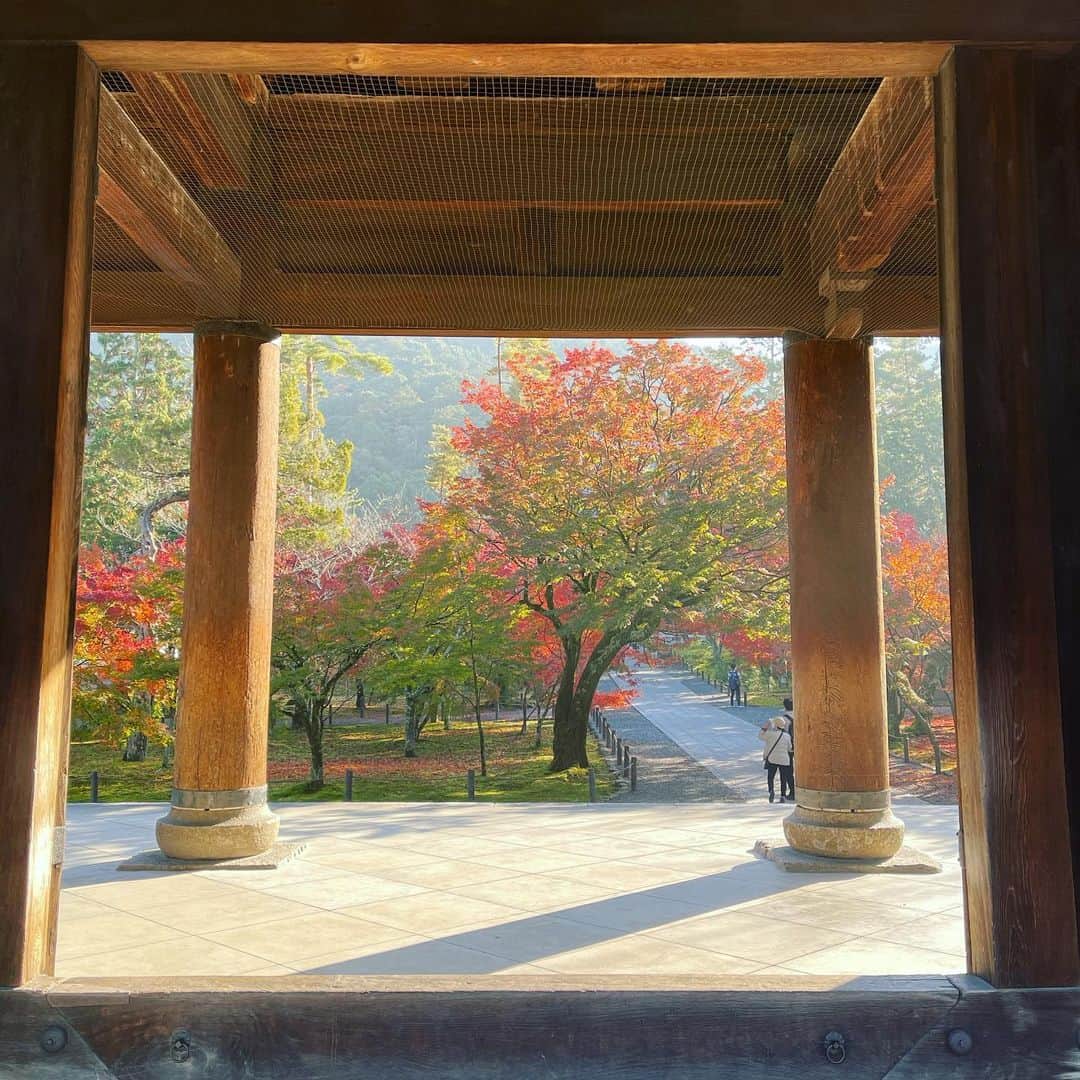 井上ヨシマサのインスタグラム：「京都　2020 #kyoto  #autumn  #autumnleaves #autumncolors  #color  #colorful #temple #japan #photography #photo」