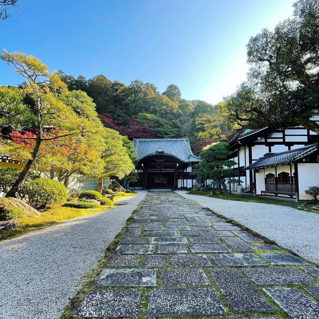 井上ヨシマサさんのインスタグラム写真 - (井上ヨシマサInstagram)「京都　2020 #kyoto  #autumn  #autumnleaves #autumncolors  #color  #colorful #temple #japan #photography #photo」11月19日 18時34分 - yoshimasa444inoue