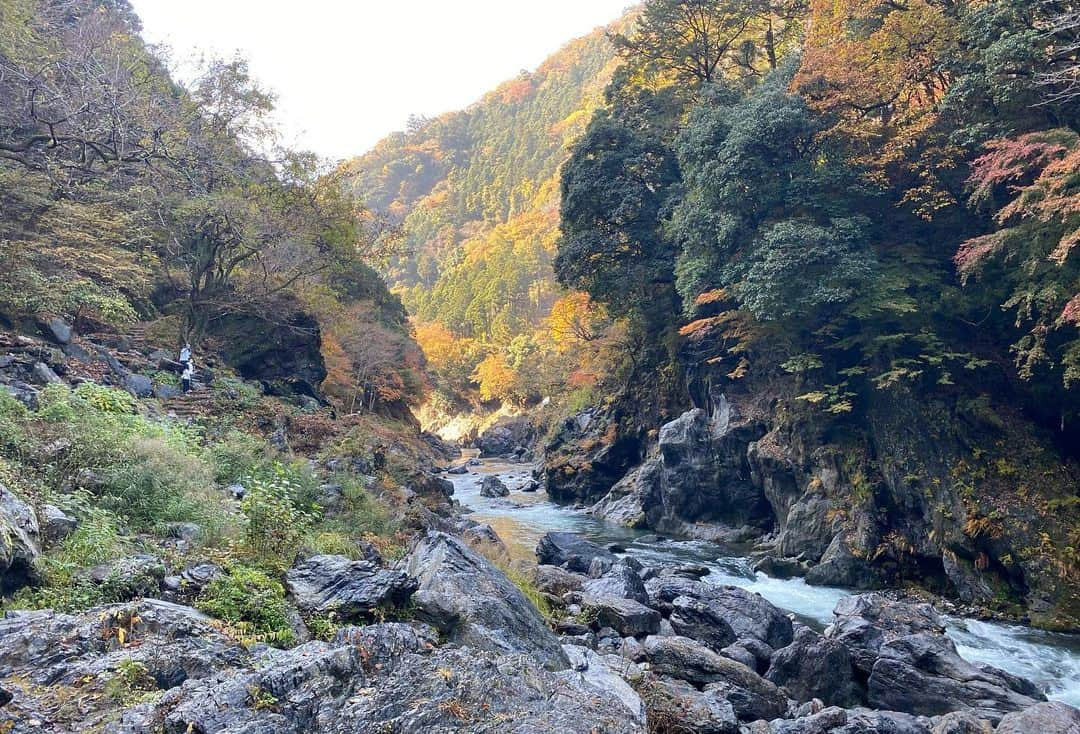 秋山燿平のインスタグラム：「今天我去了度假勝地「東京」，沒錯是東京！奧多摩位於東京都西北部，從新宿坐電車大概1.5小時就能到。來到這裡，我們能感受到，東京原來有這麼壯觀的地方。」