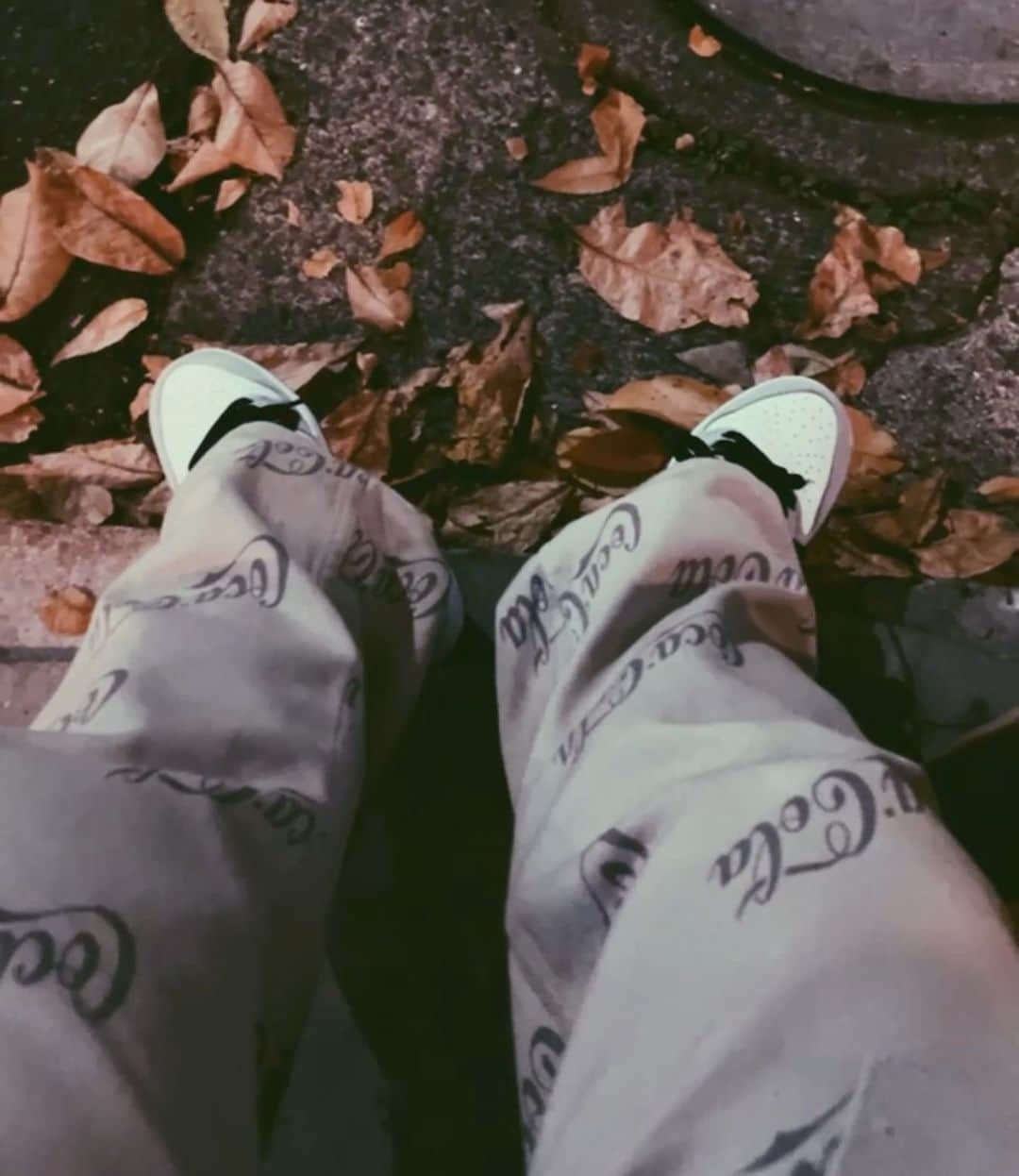 のインスタグラム：「Fallen leaves🍂🍂🍂🍂. #fall #japan」