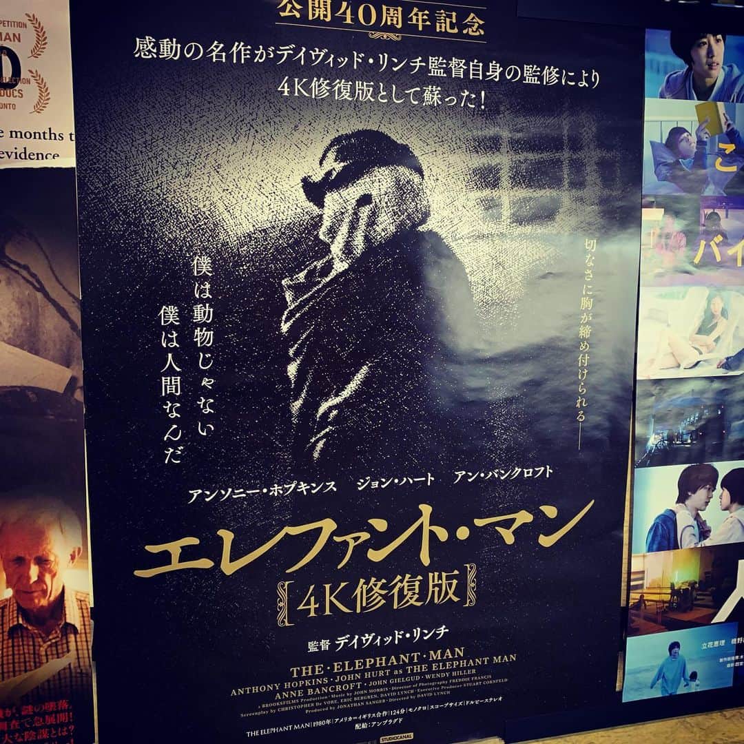 飯田カヅキさんのインスタグラム写真 - (飯田カヅキInstagram)「『エレファント・マン』観た。 やはり名作。素晴らしかった。 ﻿ #エレファントマン #theelephantman #デヴィッドリンチ #davidlynch #映画 #movie #cinema」11月19日 19時10分 - kazukiiida_strange