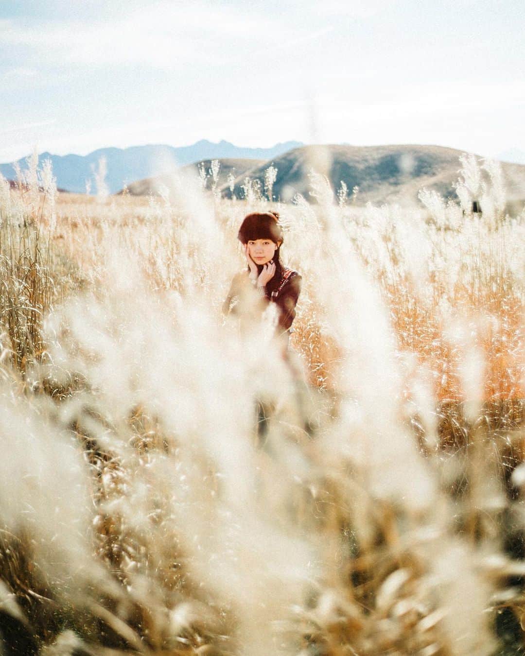 GENTAのインスタグラム：「🌾秋色 Autumn color #nokton」