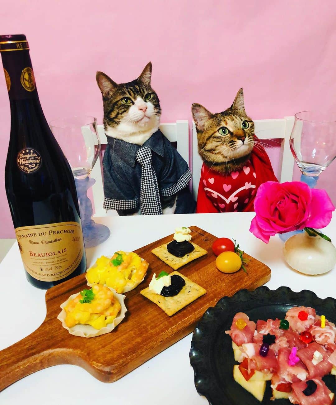 マロさんのインスタグラム写真 - (マロInstagram)「🍷 ボジョレーヌーボー解禁🍷 Beaujolais nouveau release! ✴︎ いつもコメントありがとうございます😺🙏💕 返信出来ない時が多くてすみません🙇‍♀️ 全て拝見しています🐾 ✴︎ Thank you for your kind comments😸🙏💕 I'm  sorry that I couldn't reply. ✴︎ #cat#cats#catsofinstagram#😻 #sweetcatclub#wine#food #beaujolaisnouveau#ねこ#猫 #ねこ部#にゃんすたぐらむ #ボジョレーヌーボー#ワイン #ボジョレー解禁#猫のいる暮らし  #斉藤和義#カーリングシトーンズ」11月19日 20時04分 - rinne172
