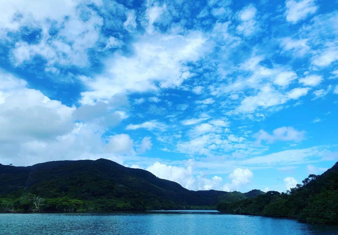 牧田習さんのインスタグラム写真 - (牧田習Instagram)「空も森もどこまでも広がっていて、そして、その下に虫達も育まれている。」11月19日 20時25分 - shu1014my