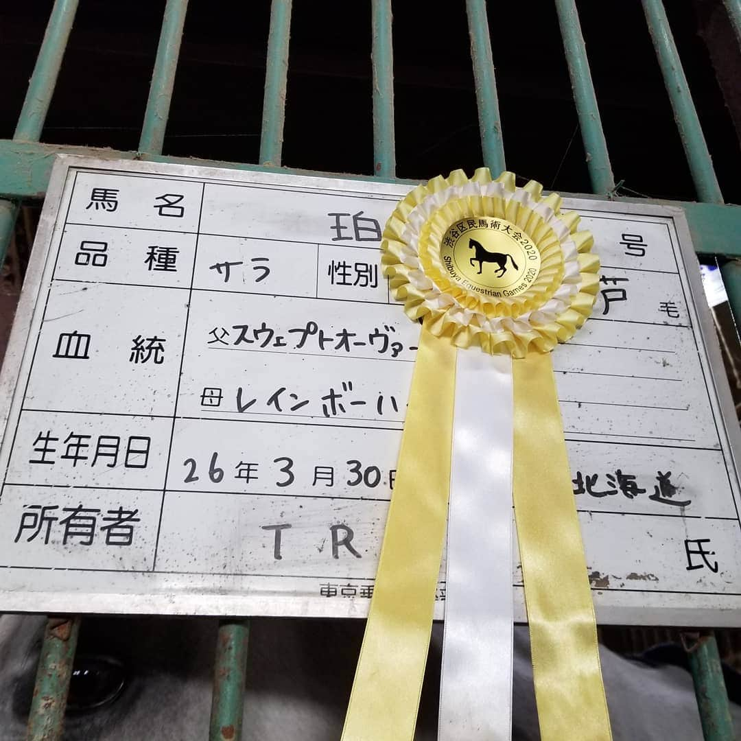 宇月田麻裕さんのインスタグラム写真 - (宇月田麻裕Instagram)「11/13　乗馬日記「はじめましてー」珀  乗馬日記いきまーす。  騎乗した日に、画像と動画載せています。  昨日の相棒は珀　人懐っこい　初騎乗  さて、H先生レッスン、すごい久しぶりです。 そして、下乗りしていただいたのも、覚えていないくらい久しぶり。 嬉しい。 下乗りしていただくと、やはり違います。 って、珀ちゃんに乗ったのは初めてなので、どこがどう違うかは細かくはわかりませんか、動いてくれました。 先生「内方姿勢で」  「駈歩発進は、巻乗りする時のように」  「顔が内側に向いているので、まっすぐに」 久しぶりに、巻乗り、手前を変えるができました。 先生の下乗りのおかげだと思います。 それと、ハクが素直なのと、軽い子なんだと思います。 「ハク、いい子だね」 ハク「うん」 駈歩発進は、何度もトライして、 ハク、その度に一歩。 でも、ずっとそれを続けてくれて。 それが良いとは思いませんが。 でも、出ず。 沈静運動の時間になり、  「先生、ラストやってもいいですか？」  とお願いして発信合図。 出ました！ が！ たぶん、私の駈歩恐怖症のせいと、体幹のなさすぎと、 駈歩自体、ずっとやっていないので、駈歩の動きに体がついていかないのですよね。 珀の背中で、ついていけない体が、バウンドして、バランス崩して速歩に失速。 でも、4歩くらい続いたかもです。 初心に戻ってもやり直したほうが良いかもしれません💦 珀、先生、ありがとうございました♪ 乗馬日記、次回に続く。」11月19日 20時48分 - mahiro_utsukita