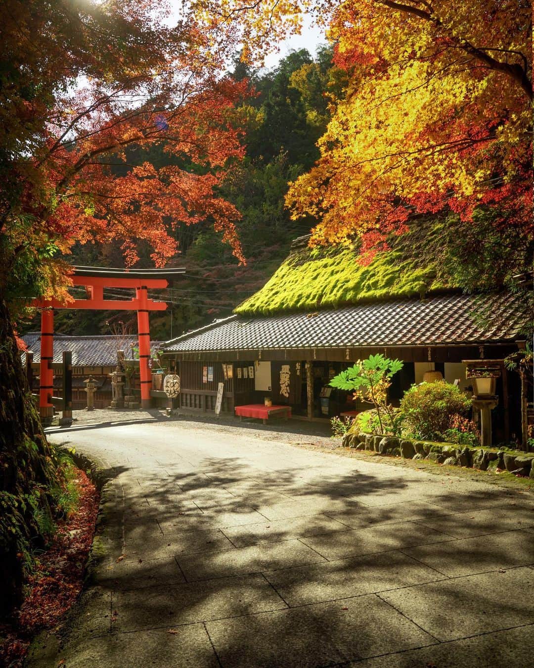 Koichiのインスタグラム：「| Sunny day in local Kyoto . . #BeautifulJapan #Hellofrom #Kyoto . #京都 #奥嵯峨野 . 嵐山の喧騒を避けて歩くこと40分。 奥嵯峨野の辺りまで来ると、人も少なく静かになる。ここは紅葉がそろそろピーク🍁 2020.11.17  .」