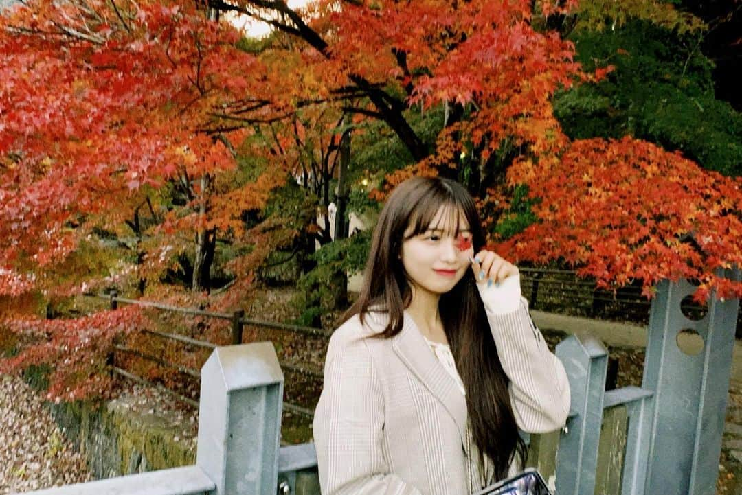 Kirariさんのインスタグラム写真 - (KirariInstagram)「街は秋だね🍁🌾🌕」11月19日 20時51分 - kirari_1016_