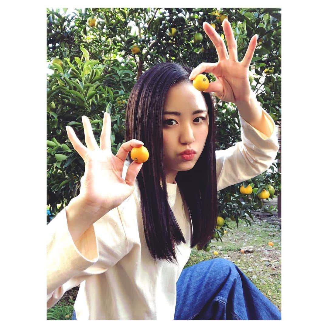 加藤梨里香さんのインスタグラム写真 - (加藤梨里香Instagram)「小みかん🍊と言えども さすがに小さすぎるわ〜 それもはやキンカンサイズ〜 な小みかん🍊」11月19日 20時52分 - ririka_kato_