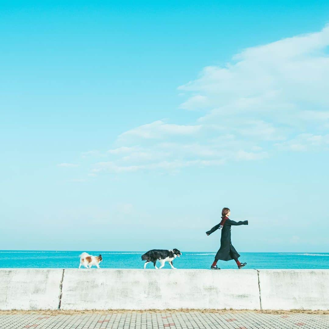 Kobe Japan Water artのインスタグラム：「"Adventure🐕🐕" . 気づいたら背の順に.」