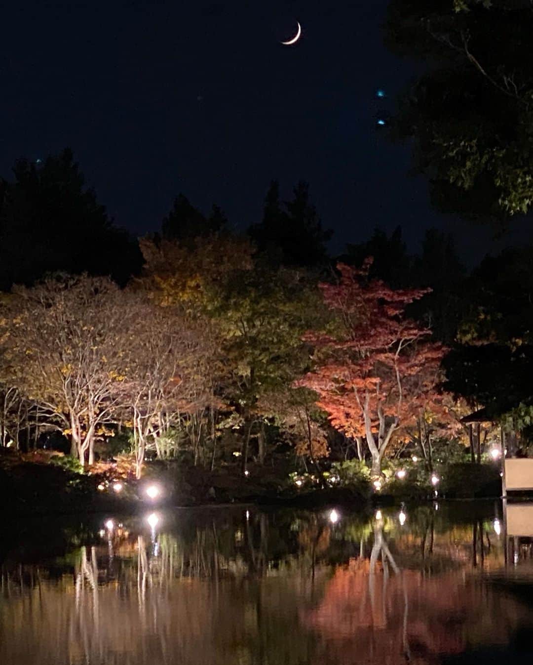 のインスタグラム：「Yup FALL IN LOVE 🍂🇯🇵 #日本の秋」