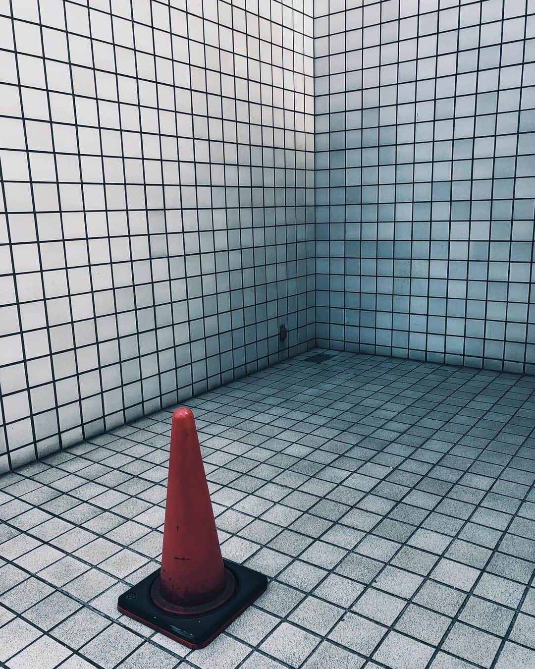 Kumaのインスタグラム：「#shotoniphone」