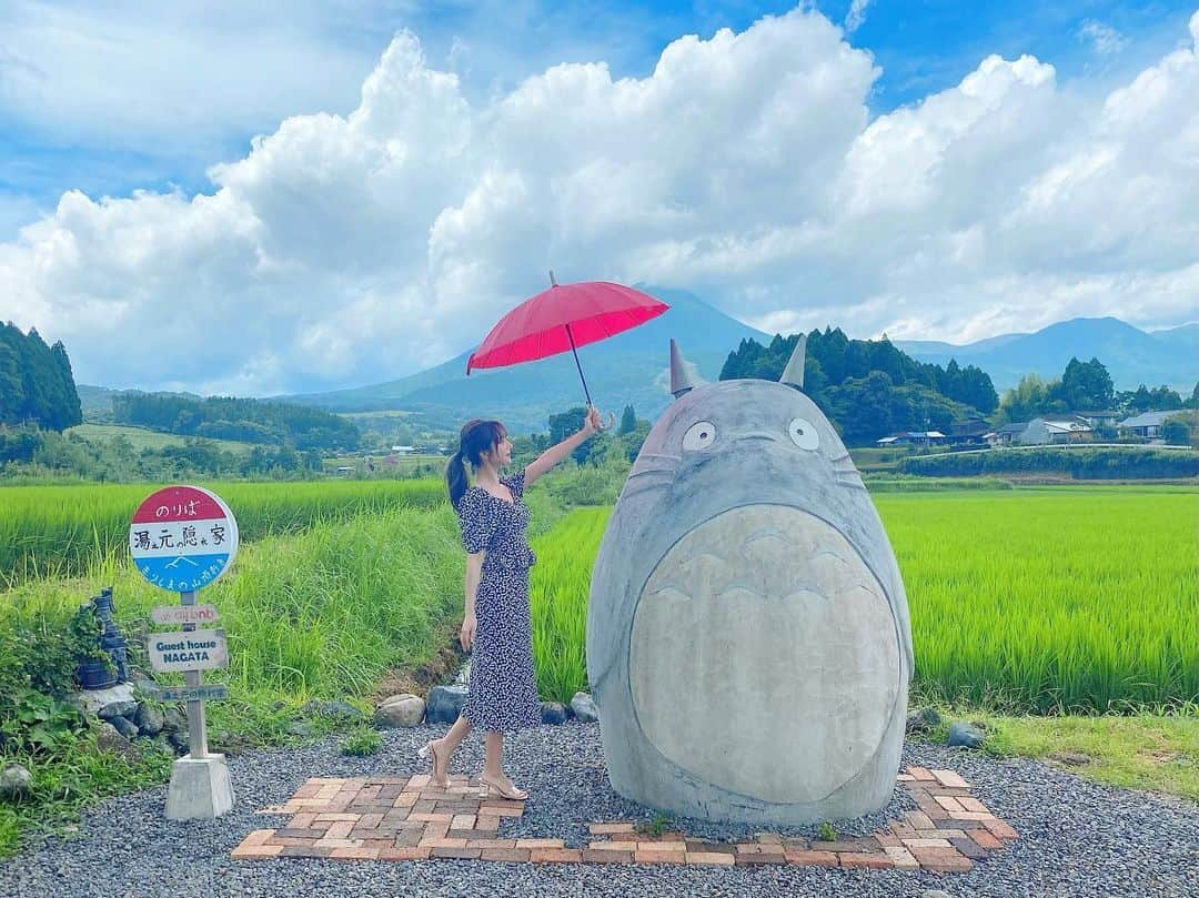 𝐧𝐚𝐜𝐡𝐢𝐦𝐮のインスタグラム：「となりのトトロ☔🐰﻿」