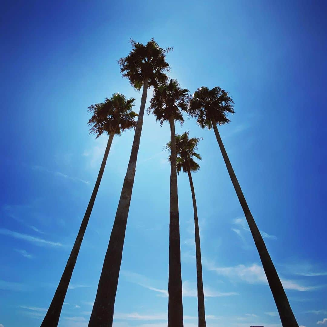 平山美香さんのインスタグラム写真 - (平山美香Instagram)「2020 晩夏の思い出 海はもちろん🌴 今年は梨狩り・ぶどう狩り・りんご狩りにも行きました🍏🍇🍎 私が生まれ育った大好きな神戸✨ 東京が恋しい反面、子供達には小一時間で行ける自然豊かな環境が良いのでは、、、と考える日々 #夏の思い出2020 #神戸 #kobe」11月19日 21時59分 - mika_hirayama