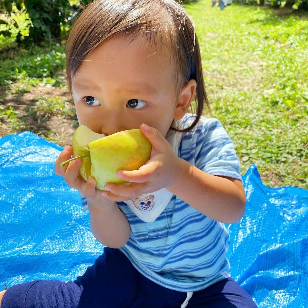 平山美香さんのインスタグラム写真 - (平山美香Instagram)「2020 晩夏の思い出 海はもちろん🌴 今年は梨狩り・ぶどう狩り・りんご狩りにも行きました🍏🍇🍎 私が生まれ育った大好きな神戸✨ 東京が恋しい反面、子供達には小一時間で行ける自然豊かな環境が良いのでは、、、と考える日々 #夏の思い出2020 #神戸 #kobe」11月19日 21時59分 - mika_hirayama