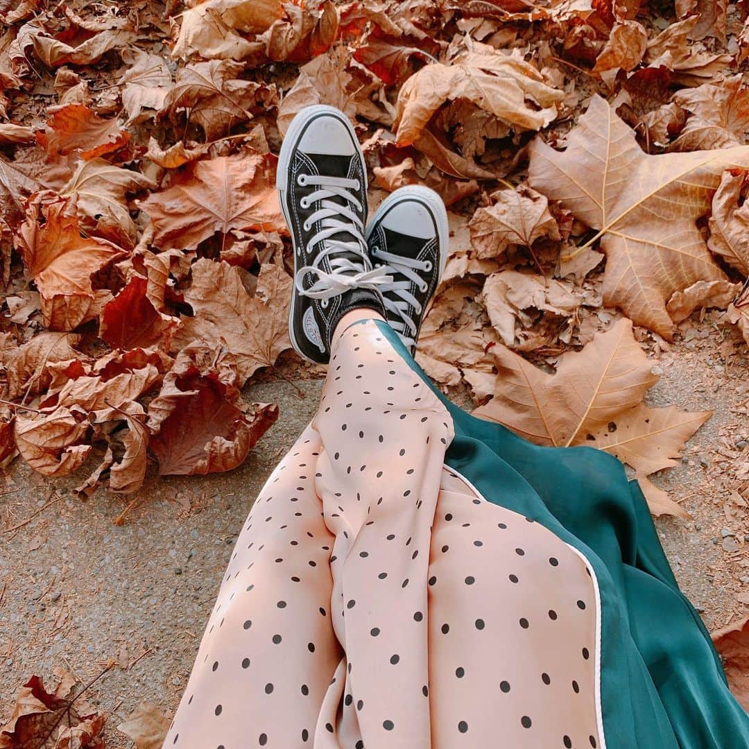 のインスタグラム：「ついに！ 年パス購入しました〜🥰 新宿御苑🍂 プラタナス並木にて ・ #新宿御苑　#プラタナス並木  #신주쿠교엔  #秋　#가을」