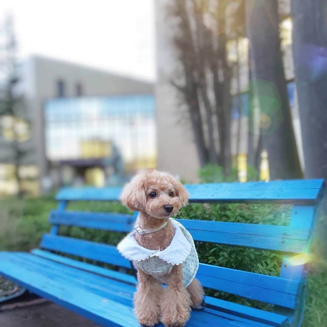 Caluluのインスタグラム