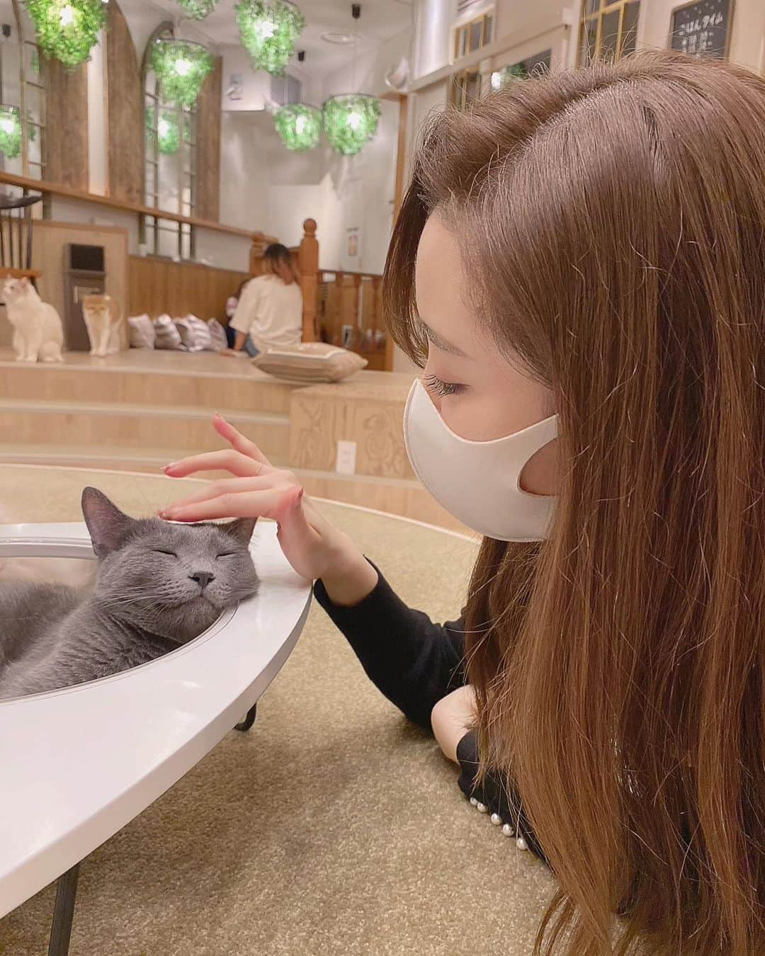 濵松里緒菜さんのインスタグラム写真 - (濵松里緒菜Instagram)「またまた猫カフェに﻿ 行ってきました😽﻿ ﻿ 今回は、﻿ 猫カフェMOCHA 原宿店へ！﻿ ﻿ 店舗によって猫種も﻿ ルームの雰囲気が違うから、﻿ それも楽しみの一つ☺️﻿ ﻿ 今回もたくさん癒されました❤︎﻿ ﻿ 1枚目の😽のお顔が可愛すぎる🥺﻿ ﻿ ﻿ #猫カフェmocha #猫カフェ #原宿猫カフェ #原宿﻿ #cat #catcafe #harajuku #cafe #harajukucafe」11月19日 22時10分 - riona_hamamatsu