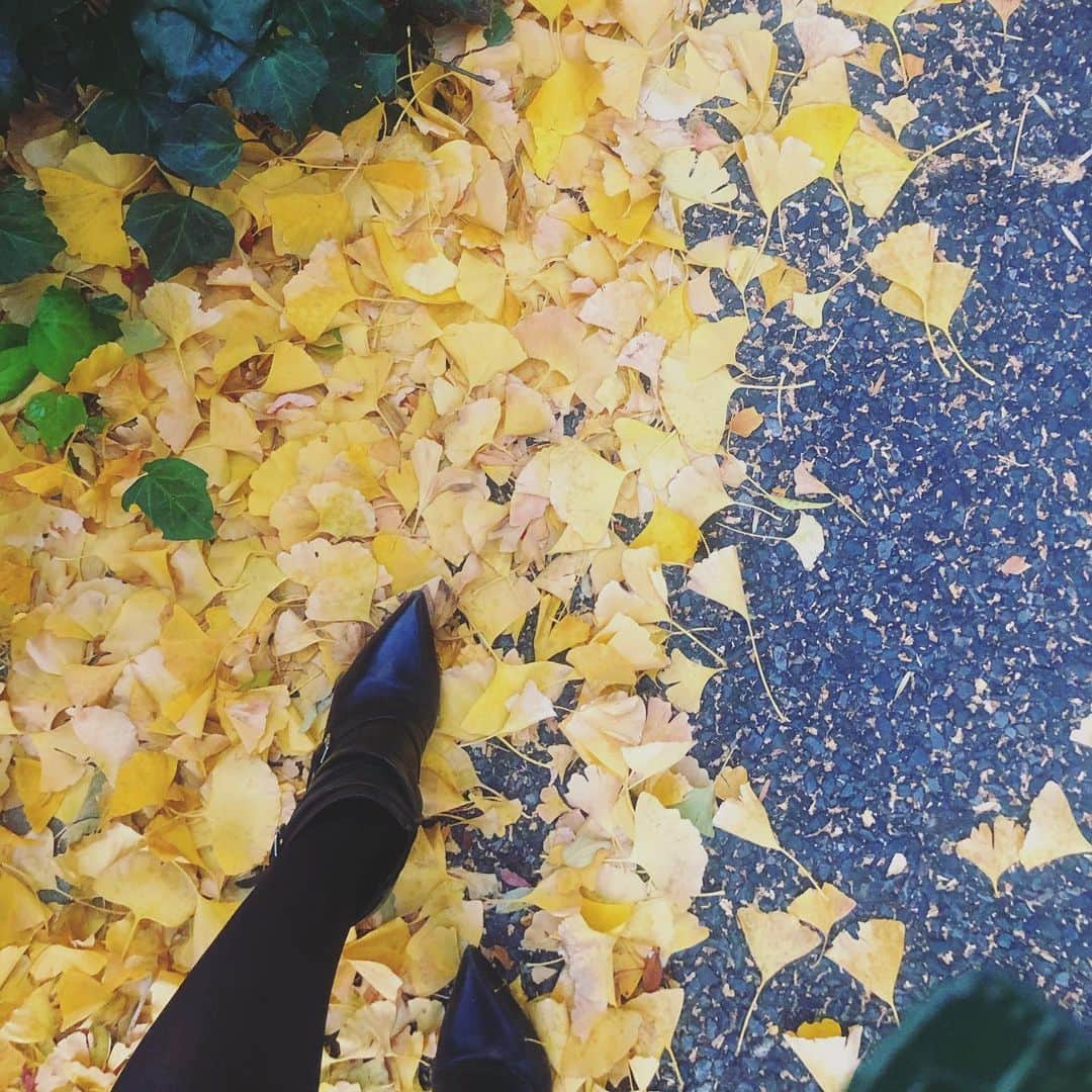 水沢アリーさんのインスタグラム写真 - (水沢アリーInstagram)「銀杏の上を1時間てくてくした日🍁🍂珍しくスカート履いた😳  #秋ですね #寂しいようでワクワクします #最近食べ過ぎ注意報発令中 #gotoのお土産みんなくれる #お饅頭 #八つ橋 #ご当地クッキー #🤣」11月19日 22時13分 - ally_mizusawa