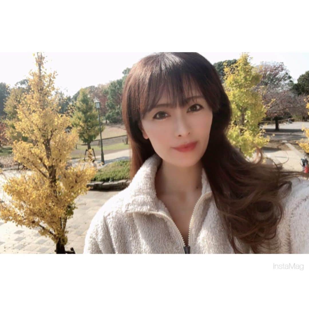 Hoshinokeiのインスタグラム：「お散歩。 銀杏が綺麗でした😊❤️ ・ 日差しがまぶしい〜💦」