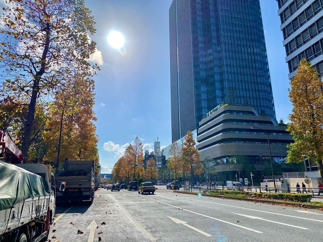 世礼奈のインスタグラム：「It's gotten chilly suddenly. The autumn leaves were beautiful. It feels like fall has come. ◟̆◞̆ ✽」