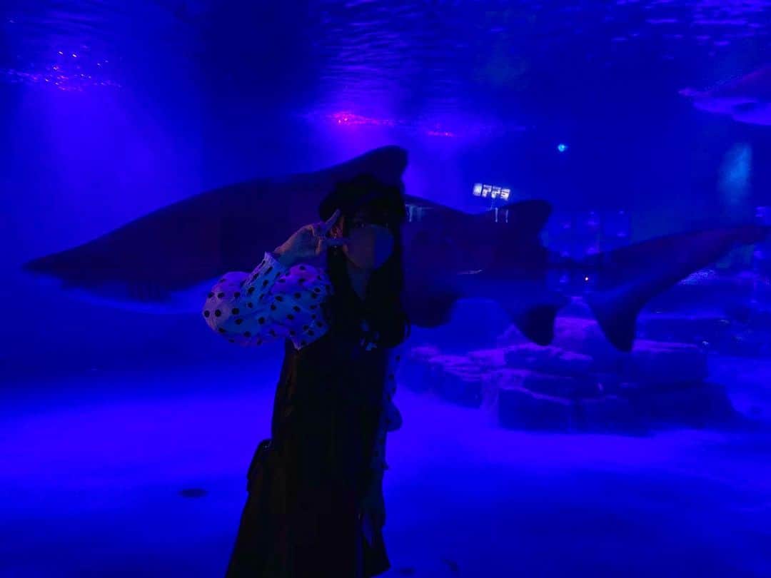 松本ももなさんのインスタグラム写真 - (松本ももなInstagram)「サメ🦈 大きくてかっこいい～🥺ྀི  なんのお魚が好き？  家族で水族館に行った時のお写真！  見るのに夢中で唯一どうしてもサメと撮りたくて😂  3枚目スイミーみたいだね🐟💦💦  #水族館 #サメ #カニ #スイミー #かめ」11月19日 22時41分 - momona.1012