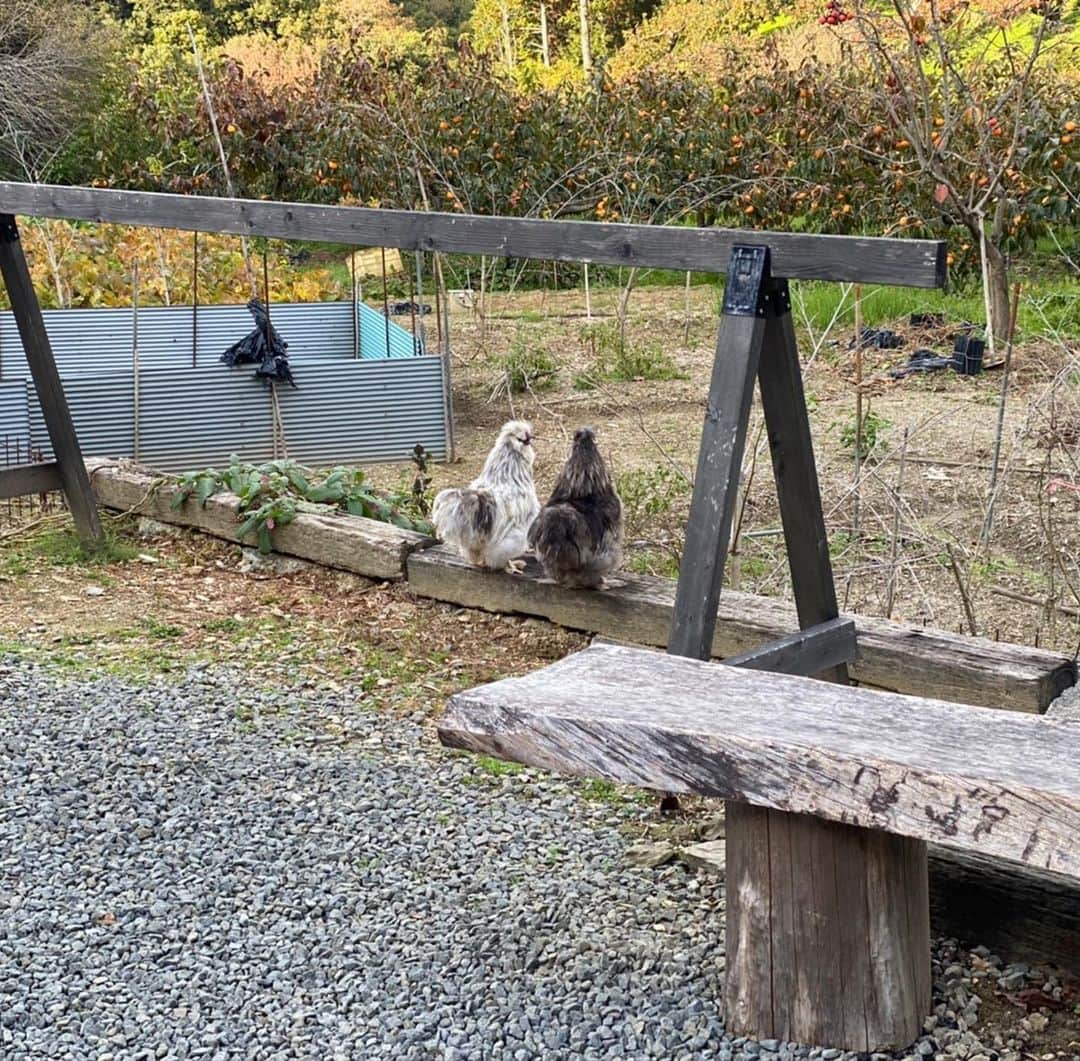 皆川勇気のインスタグラム：「むつまじいなぁ〜」