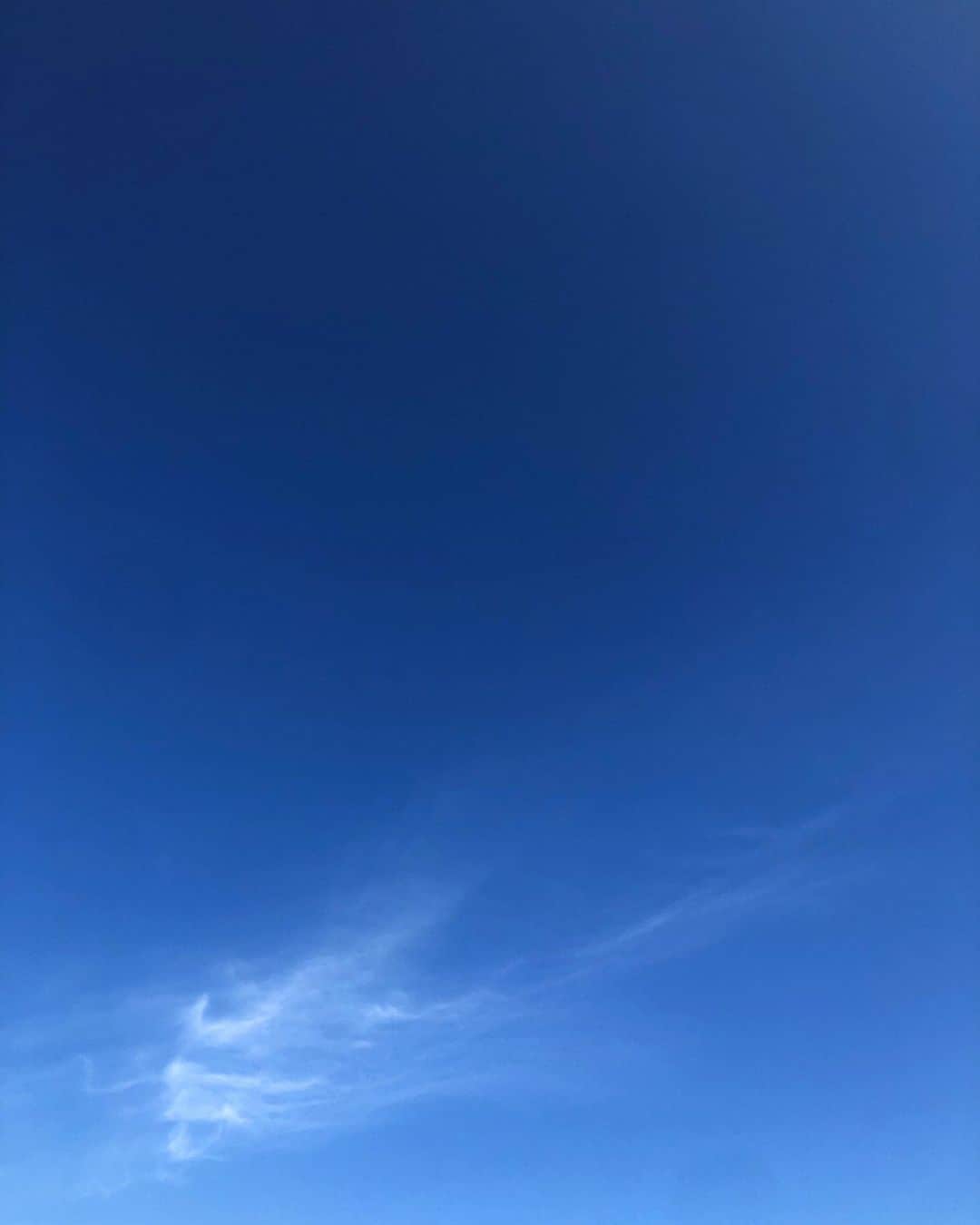 芽朗さんのインスタグラム写真 - (芽朗Instagram)「NIKEに見えた雲。」11月19日 22時59分 - mellowfukushima