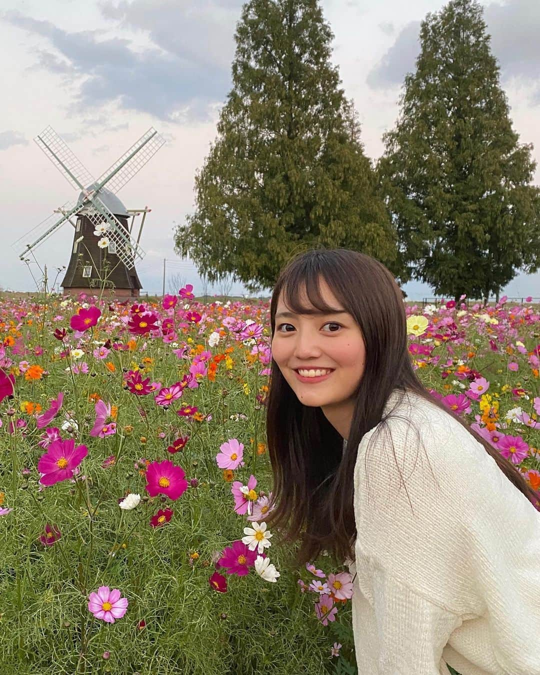 藤原美歩さんのインスタグラム写真 - (藤原美歩Instagram)「ちょっと前だけどコスモス畑行ってきた〜🌟﻿ ﻿ 転勤族で小さい頃ちょっとだけ岡山で賃貸の一軒家に住んでいたことがあるんだけどなぜが庭で毎年勝手にコスモス🌼咲いてたんだよね〜！﻿ ﻿ 秋になると家の庭に一輪だけ咲くコスモスを思い出す！﻿ ﻿ ﻿ ﻿ ﻿ ﻿ ﻿ ﻿ ﻿ ﻿ ﻿ ﻿ ﻿ ﻿ ﻿ ﻿ ﻿ ﻿ ﻿ ﻿ ﻿ ﻿ #サロンモデル #サロモ #サロン撮影 #作品撮り #前髪パーマ #ヘアアレンジ #撮影モデル #撮影データ #ヘアアレンジ動画 #スタイリング #スタイリング動画#カフェ巡り好きな人と繋がりたい #カフェ巡り店 #カフェ好きな人と繋がりたい #コスモス #あけぼの山農業公園   #カメラ女子 #フィルター越しの私の世界   #写真好きな人と繋がりたい #コスモス畑 #コスモス🌸 #あけぼの山公園 #千葉観光 #千葉観光スポット」11月19日 22時56分 - mh_1016_ig