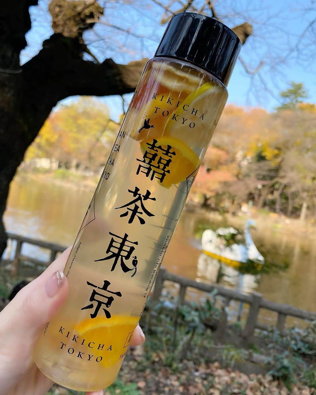 momoのグルメインスタ