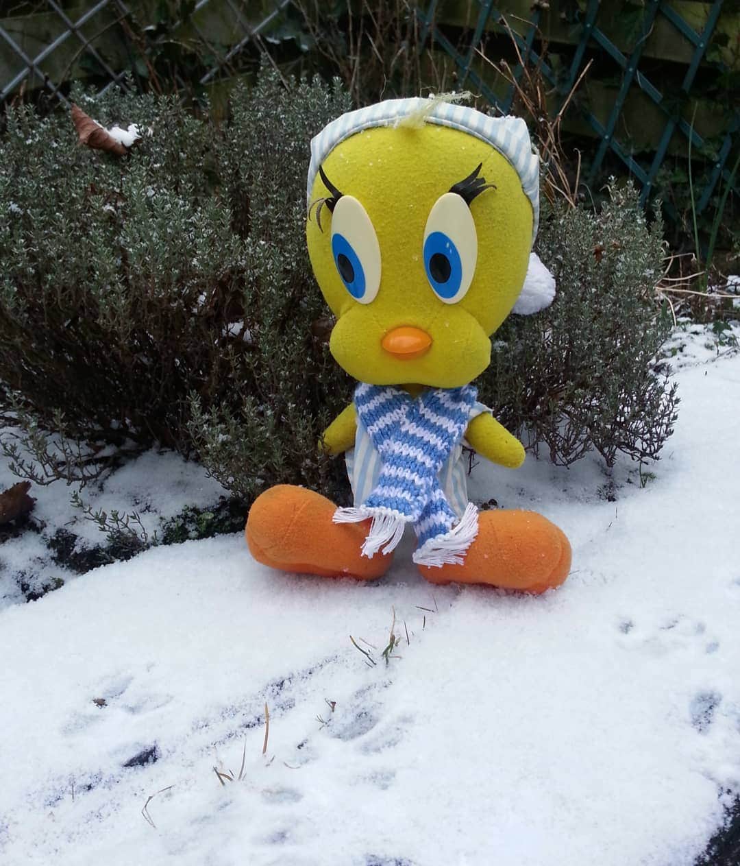 Little Yellow Birdさんのインスタグラム写真 - (Little Yellow BirdInstagram)「No, no, don't worry. You didn't miss anything! This is 3 years ago: SNOW!! As much as I love summer, I also love a good snowy winter. So winter, let's go! Let's do this!! #littleyellowbird #tweety #tweetykweelapis #adventures #yellow #bird #thursday #tbt #throwback #winter #snow #cold #winterwonderland #stuffedanimalsofinstagram #plushiesofinstagram」11月19日 23時19分 - tweetykweelapis
