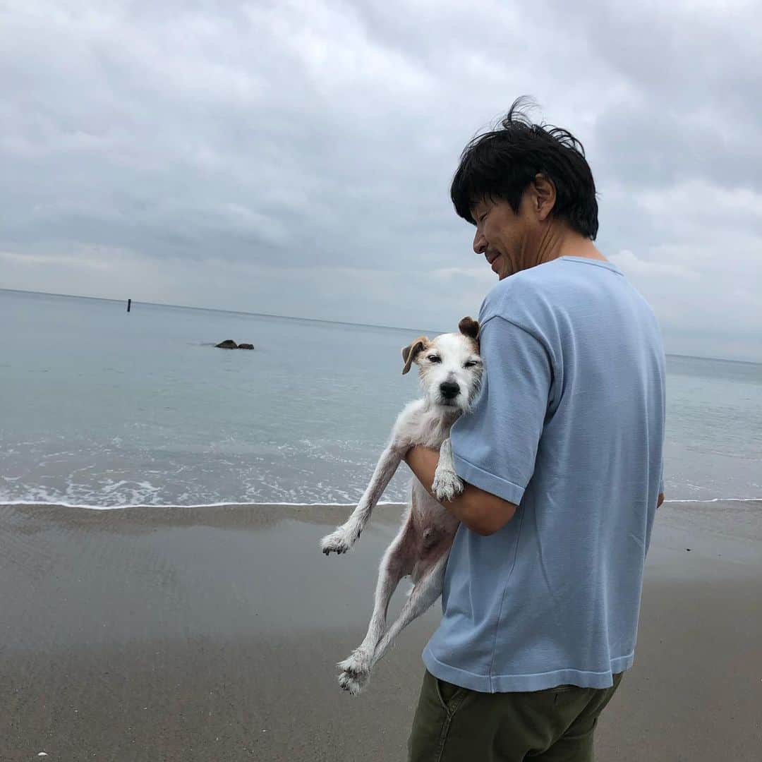 風間ゆみえさんのインスタグラム写真 - (風間ゆみえInstagram)「私のうでのなかで眠っていました  ただいま〜と、夫が抱えあげれば まるで水からあげられた魚のように 腕のなかであばれていたのに  私の胸にからだをあずけ 眠たそうに、そしてときには 眠ってしまう それはそれは可愛くて、愛おしくて ギュッとしたい衝動を受け流して 優しく包み込んで過ごしました 涙が流れました  こんなに穏やかであるのに この穏やかさを護りたい  そんな日が何日も続いていました  ちょうど1年前の今ごろ  夫の胸にあたまをうずめて 突然泣き出した私はいつまでも 泣いて 夫は黙ってしばらく私を 抱えていました  見上げた夫は静かに泣いていて ゆみえちゃん、側に行こうね そういいました  力ない声におされて寝室で眠っている 横顔に触れるとお別れのときでした  ふたりの手のなかで緊張した身体が ふわっと柔らかくほどけました  最後まで一緒にいてくれて ありがとう  本当に出会えて良かった  また走れるね また会うよね  マイロを可愛がってくれた皆さま 遅くなりましたが、  ありがとう。」11月19日 23時28分 - yumie_kazama