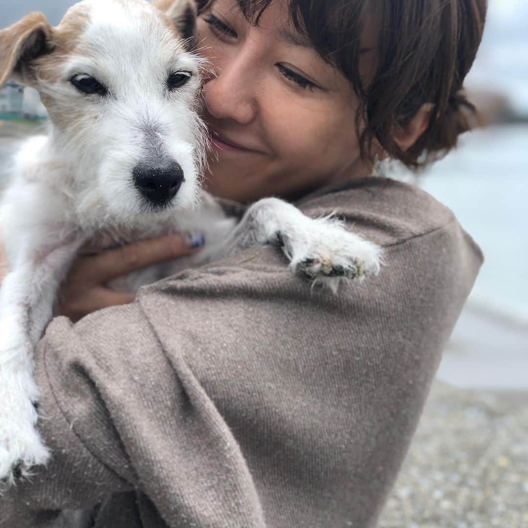 風間ゆみえさんのインスタグラム写真 - (風間ゆみえInstagram)「私のうでのなかで眠っていました  ただいま〜と、夫が抱えあげれば まるで水からあげられた魚のように 腕のなかであばれていたのに  私の胸にからだをあずけ 眠たそうに、そしてときには 眠ってしまう それはそれは可愛くて、愛おしくて ギュッとしたい衝動を受け流して 優しく包み込んで過ごしました 涙が流れました  こんなに穏やかであるのに この穏やかさを護りたい  そんな日が何日も続いていました  ちょうど1年前の今ごろ  夫の胸にあたまをうずめて 突然泣き出した私はいつまでも 泣いて 夫は黙ってしばらく私を 抱えていました  見上げた夫は静かに泣いていて ゆみえちゃん、側に行こうね そういいました  力ない声におされて寝室で眠っている 横顔に触れるとお別れのときでした  ふたりの手のなかで緊張した身体が ふわっと柔らかくほどけました  最後まで一緒にいてくれて ありがとう  本当に出会えて良かった  また走れるね また会うよね  マイロを可愛がってくれた皆さま 遅くなりましたが、  ありがとう。」11月19日 23時28分 - yumie_kazama