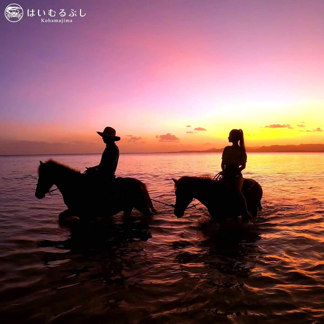 HAIMURUBUSHI はいむるぶしさんのインスタグラム写真 - (HAIMURUBUSHI はいむるぶしInstagram)「小浜島・はいむるぶしから癒しの風景をお届けします。 はいむるぶしで開催している「小浜島乗馬倶楽部」。 美しい夕景を眺めながら、波音を聴きながら、海風を感じながら、ここにしかない沖縄の島時間をお楽しみください。 #沖縄 #八重山諸島 #小浜島 #乗馬 #倶楽部 #夕景 #美しい #光景 #リゾート #ホテル #はいむるぶし」11月20日 0時39分 - haimurubushi_resorts
