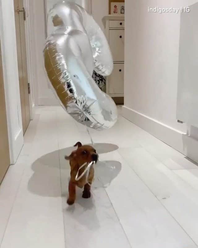 8crapのインスタグラム