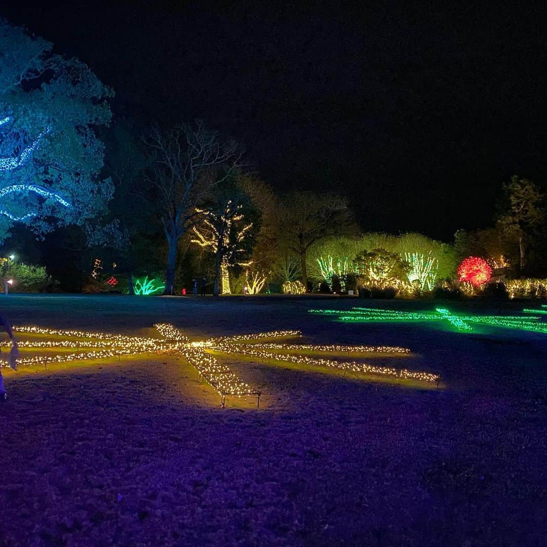 メリッサ・ジョーン・ハートさんのインスタグラム写真 - (メリッサ・ジョーン・ハートInstagram)「The @cheekwood #Holidaylights did not disappoint! The behavior of our children might have though!  Example- slide 4 with my sarcastic teen!」11月20日 11時50分 - melissajoanhart