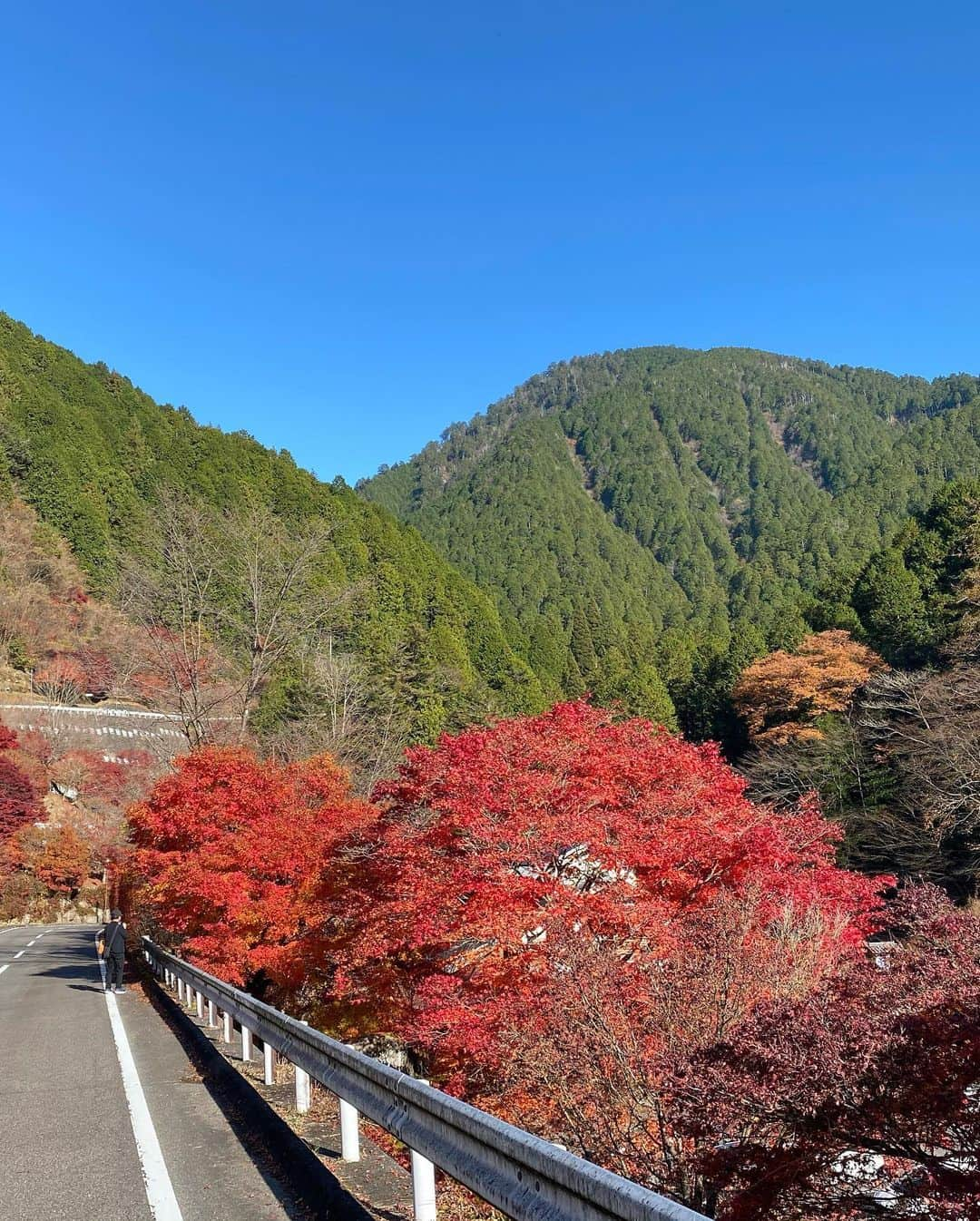 川村茉由さんのインスタグラム写真 - (川村茉由Instagram)「こっこで〜す！こっこここ〜📣  付知峡のあとは夕森公園へ。 もみじ橋を通って、竜神の滝、 竜神神社を散策⛩🍁 マイナスイオンをたっぷり 感じられるパワースポット🤗 この季節の夕森公園、最高です🥰  @kelly_nagoya  @nakatsutrip   #中津川 #岐阜 #グルメ #岐阜ドライブ #中津川ドライブ #岐阜おでかけ #中津川おでかけ #岐阜グルメ #中津川グルメ #nakatsutrip #PR #旅行好きな人と繋がりたい #付知峡 #夕森公園 #夕森渓谷 #日刊ケリー」11月20日 11時55分 - mayupi_k