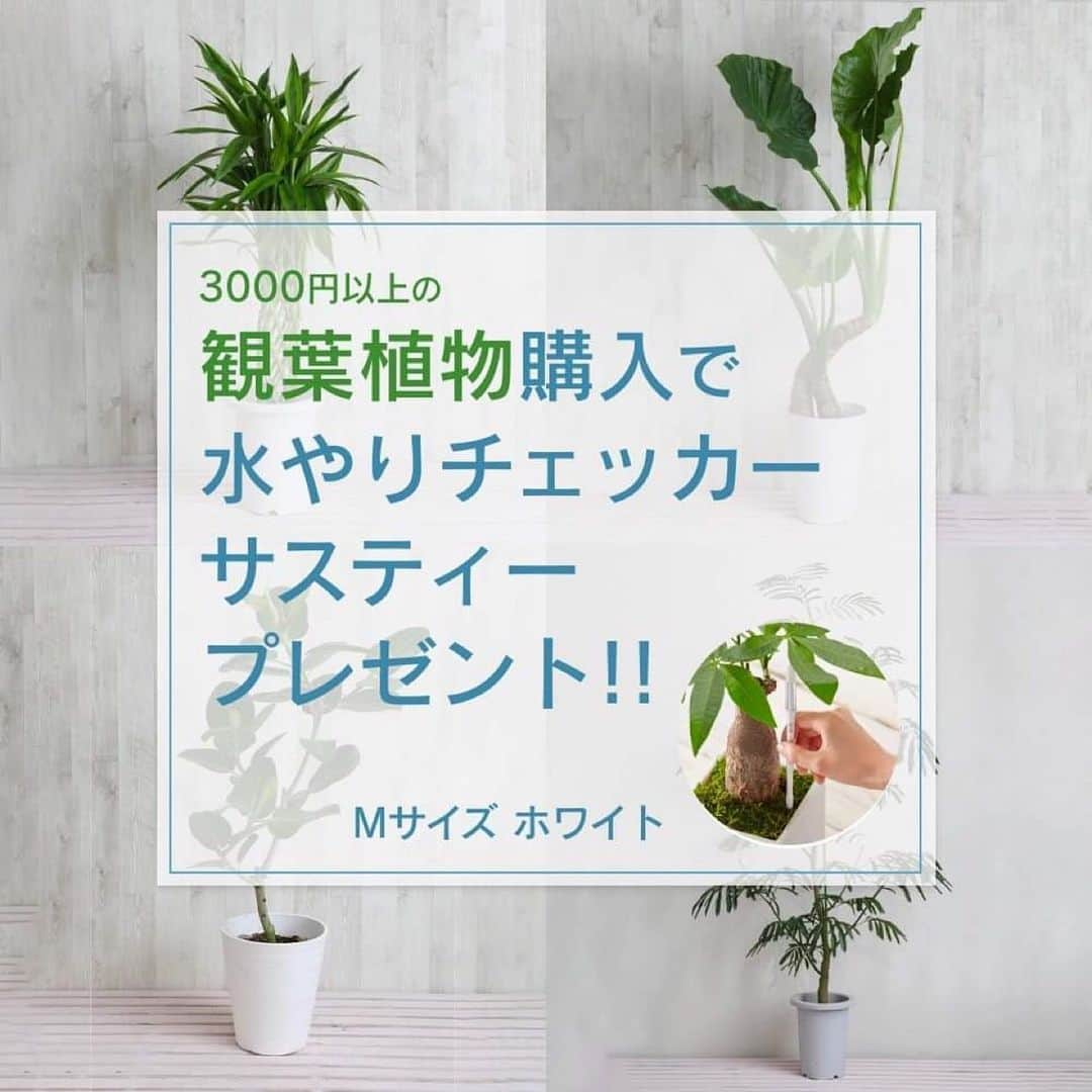 みどりで、つながる GreenSnapのインスタグラム