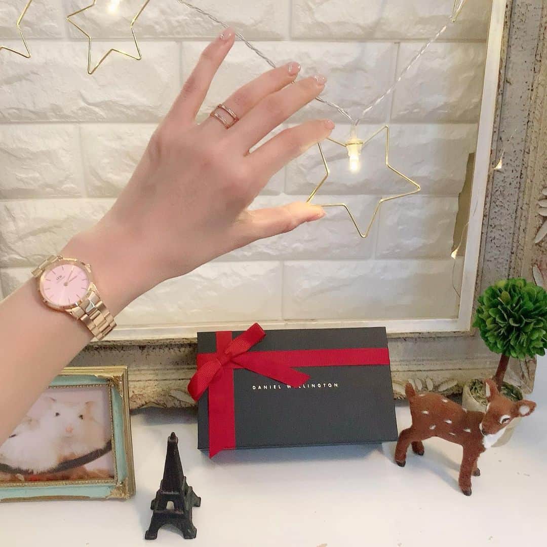 hamster_mocoさんのインスタグラム写真 - (hamster_mocoInstagram)「素敵な腕時計と指輪のご紹介⌚💍*。 ･ 大好きなダニエルウェリントンさん @danielwellington の腕時計と指輪をモニターさせて頂きました☺️ ･ 私が選んだのは 腕時計→ICONIC LINK PINK28mm  指輪→ ELAN DUAL RING ･ ローズゴールドのバンドとピンクの文字盤がとっても女性らしく品があって素敵です🥰 指輪は二重になっているオシャレなデザインで指を細く長く見せてくれるような気がします😆🙌🏼わーい✨ ･ 只今ブラックフライデーセール開催中✨こちらのクーポンコードを使えばセール価格から更に15％OFFでとってもお得にゲットできちゃいます👀✨【asahifl20】 ･ 大切な人へのクリスマスプレゼントや自分へのご褒美にもぜひご利用くださいね🎁🎄🎂🎉 ･ ･ ★ブラックフライデーキャンペーン★ ＊2020年最大のDW Black Fridayセールは11月20日～30日まで期間限定実施中！ ＊公式サイトwww.danielwellington.com/jpやDW直営店舗にて最大50％OFF！ ･ ＊15％OFFクーポンコード【asahifl20】の併用でさらにお得！ ･ ･    #DWブラックフライデー #ダニエルウェリントン#DW#腕時計 #ハムスター#ジャンガリアンハムスター#ジャンガリアン#ブルーサファイア#ブルーサファイアハムスター#ジャンガリアンブルーサファイア#ふわもこ部 #モフモフ#ペット#ハムスタグラム #hamster#djungarian#hamstagram#hammy#happy_pets#PET_OF_OUR_WORLD#igersjp#ig_japan#instapet#weeklyfluff#kawaii」11月20日 10時48分 - asahi.fl