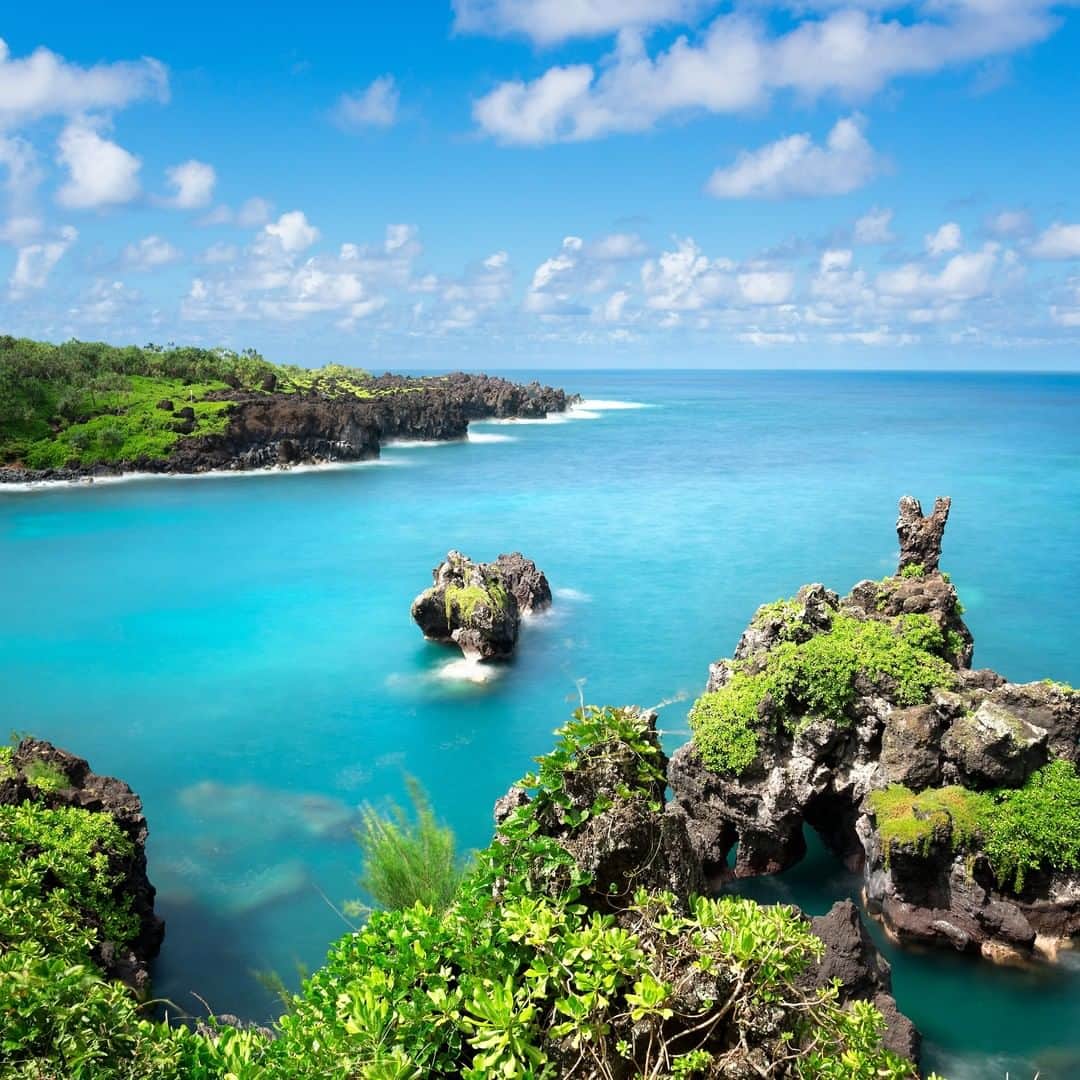 のインスタグラム：「We are pleased to welcome Hawaii’s announcement that Canadians are now eligible to be exempt from the state’s mandatory 14-day quarantine on arrival via a pre-travel testing process. . . Nous nous réjouissons aujourd’hui de l’annonce faite par Hawaii selon laquelle les Canadiens peuvent à présent être exemptés de la quarantaine obligatoire de 14 jours à leur arrivée en effectuant un test de dépistage avant le voyage.」