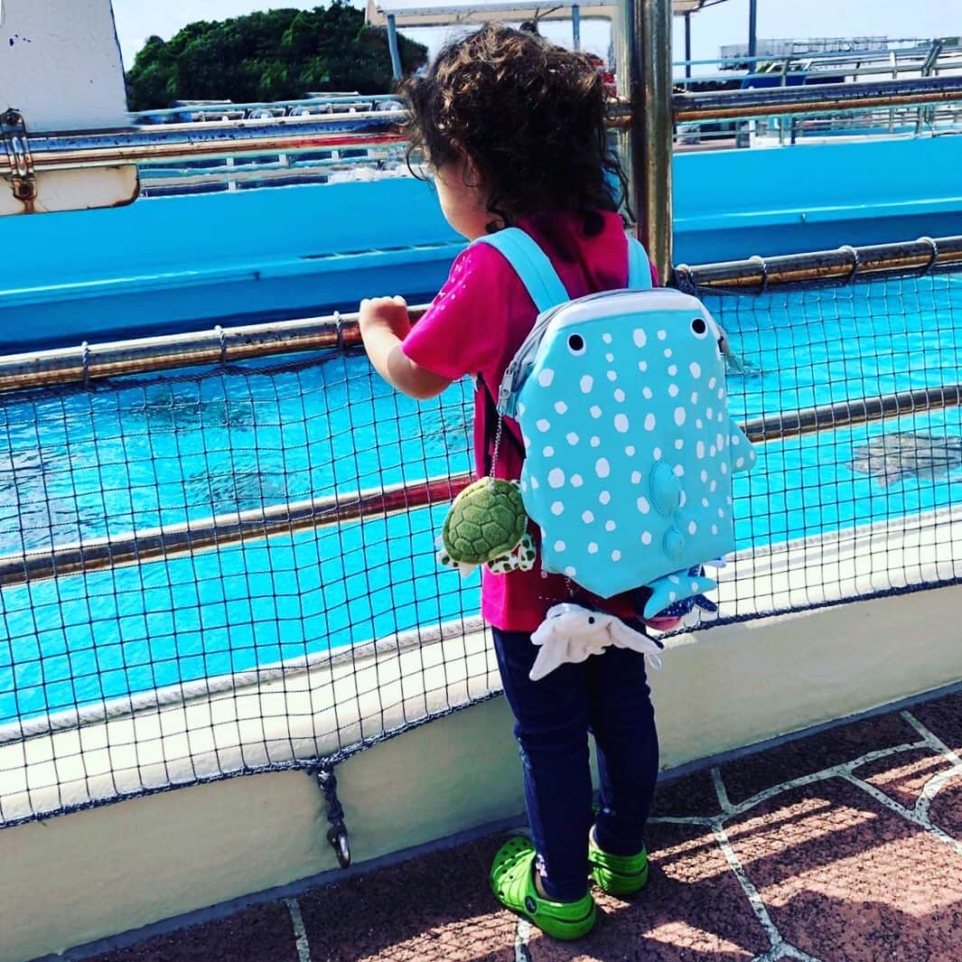 森泉さんのインスタグラム写真 - (森泉Instagram)「Okinawa Churaumi Aquarium 🐠 沖縄の思い出💙 #美ら海水族館」11月20日 11時23分 - izumi.mori