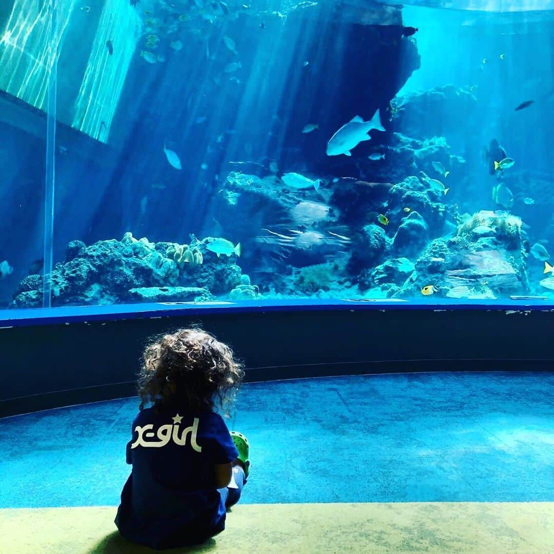 森泉さんのインスタグラム写真 - (森泉Instagram)「Okinawa Churaumi Aquarium 🐠 沖縄の思い出💙 #美ら海水族館」11月20日 11時23分 - izumi.mori