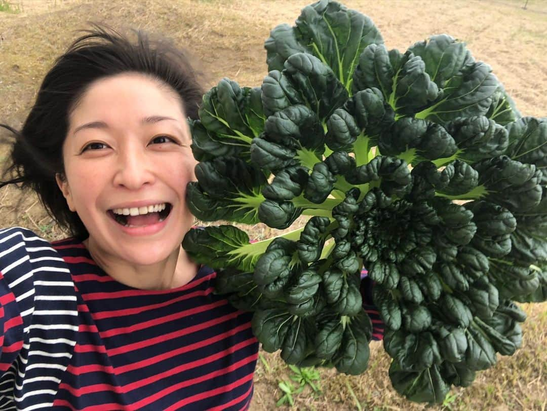 小野真弓のインスタグラム