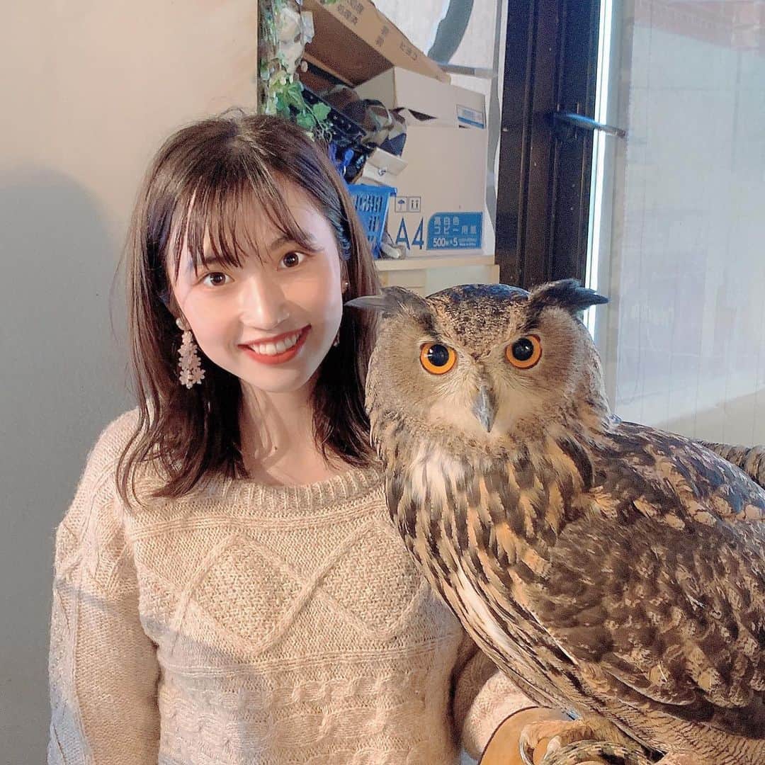 のインスタグラム：「フクロウカフェ🦉❤️  初めてフクロウ触った😵✨ フワフワでみんな可愛くて癒されました❤️  1枚目の写真このおっきいフクロウに 羽バッと広げて飛ばれて荒れた後の📸😂  次は犬カフェとか猫カフェ行きたいなぁ✨ 本日もさやぽちお願い致します❤️  #関大ミスキャン #ミス関大 #関大  #カフェ巡り #フクロウカフェ #フクロウ  #猫カフェ #犬カフェ #カフェスタグラム」