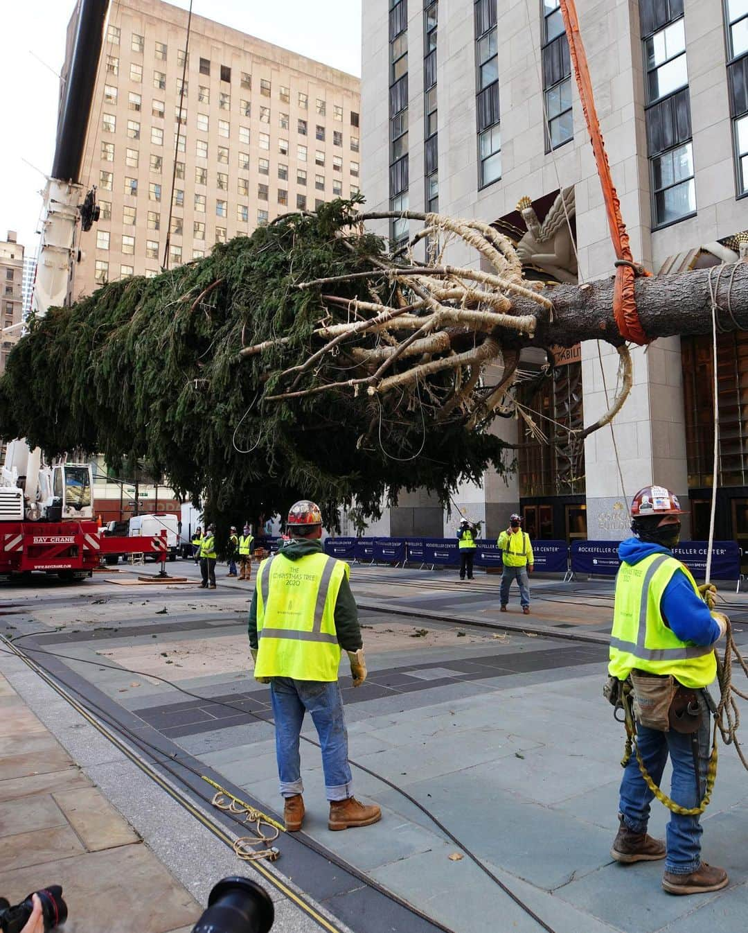 ELLE Magazineさんのインスタグラム写真 - (ELLE MagazineInstagram)「Apologies to my future husband Michael B. Jordan, but everyone knows the REAL choice for 2020's Sexiest Man Alive is the massively depressed Christmas tree that just shambled into Rockefeller Center. "This tree looks like how I feel and I am both attacked and enamored," writes @oureric. "And that's sexy. I saw this tree and my only reaction was 'Huh.' Honestly, that's the most positive emotion I've had in months." SWIPE for some sexy shots of the real 2020 Sexiest man/conifer alive. ➡️🎄🔥」11月20日 2時55分 - elleusa