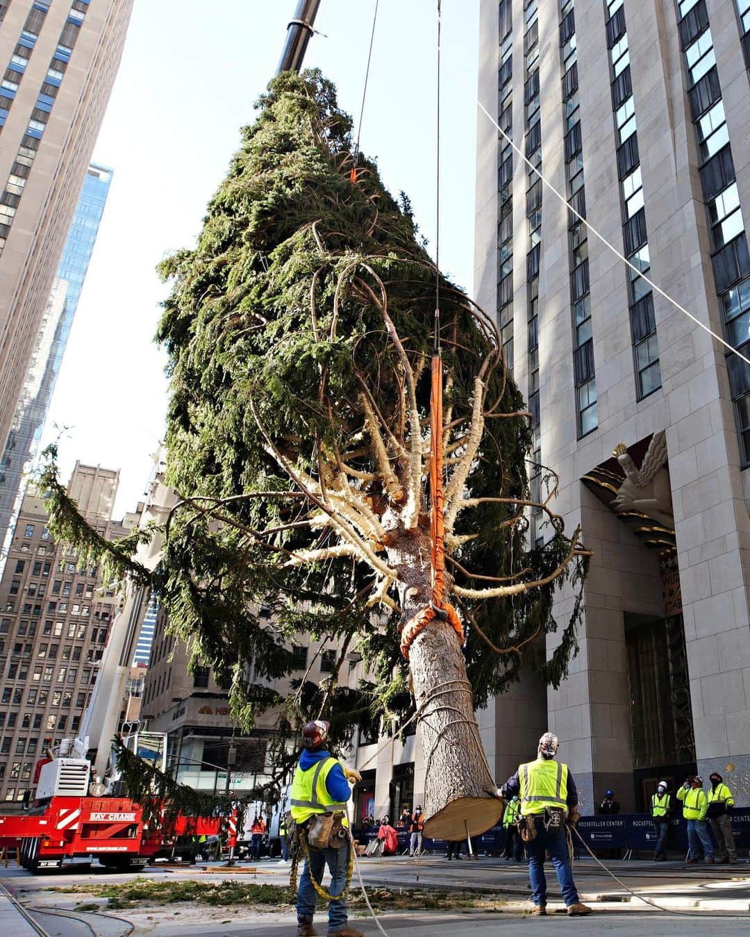 ELLE Magazineさんのインスタグラム写真 - (ELLE MagazineInstagram)「Apologies to my future husband Michael B. Jordan, but everyone knows the REAL choice for 2020's Sexiest Man Alive is the massively depressed Christmas tree that just shambled into Rockefeller Center. "This tree looks like how I feel and I am both attacked and enamored," writes @oureric. "And that's sexy. I saw this tree and my only reaction was 'Huh.' Honestly, that's the most positive emotion I've had in months." SWIPE for some sexy shots of the real 2020 Sexiest man/conifer alive. ➡️🎄🔥」11月20日 2時55分 - elleusa