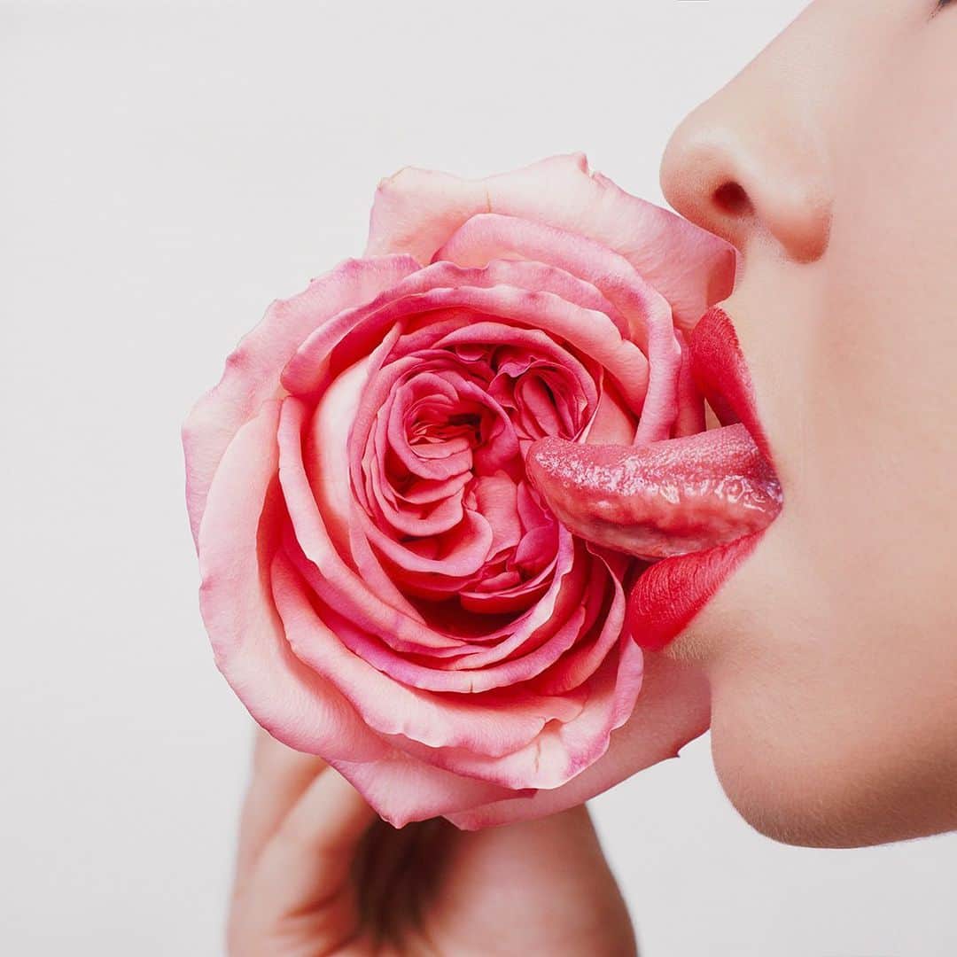 タイラー・シールズのインスタグラム：「Rose. Greek mythologies say that Aphrodite created the rose as a sign of love to give to Adonis. I suppose we all create things as a sign of love, some people making a meal some make art but the idea of giving love is something that requires effort, it seems like the only thing harder than giving love it accepting it. Are you better at giving love or receiving it?」